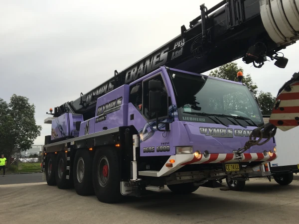 Olympus Cranes (6)